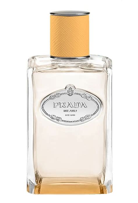 infusion mandarine prada|Infusion Mandarine Prada for women and men .